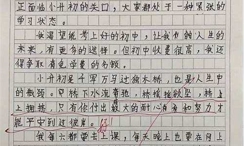 以期盼为话题的作文600字题目自拟_以期盼为题的作文600字(初中)