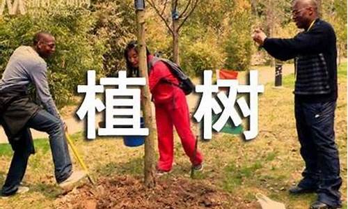 植树问题教学反思及改进措施_植树问题教学反思