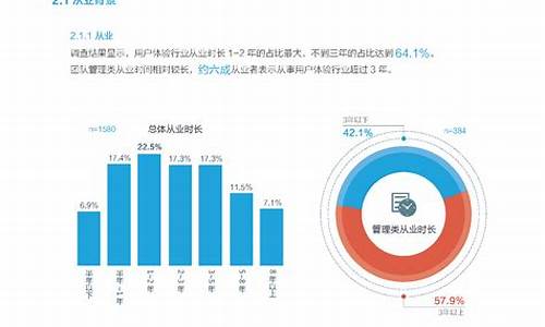 行业调查报告5000字大学生_行业调查报告