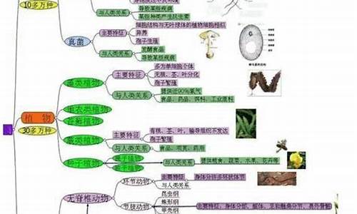 初中生物教学总结反思_初中生物教学总结