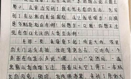 变形记作文变成路灯450字怎么写_变形记作文变成路灯450字怎么写的