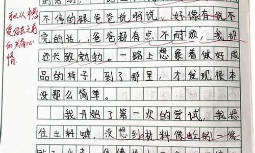 感动的作文_感动的作文500字左右