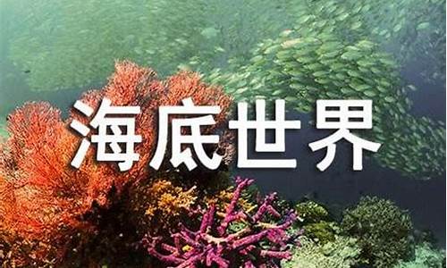 游南京海底世界作文300字350字_游南京海底世界作文300字350字怎么写