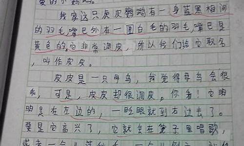 动物作文500字大全_动物作文500字大全三年级